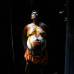 REUTERS - Onam es un festival anual hind&#250; celebrado en Kerala, India, dedicado a la cosecha y que se realiza durante el mes de Chingam (Agosto-Septiembre). Una de sus festividades es el Pulikali o la danza del tigre. Los bailarines, entre ellos algunos ni&#241;os, pintan sus cuerpos con la imagen del felino m&#225;s grande del mundo, en una expresi&#243;n cultural que gira en torno al tema de la caza del animal.