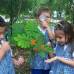 - Si aparece un insecto o una planta florece es la oportunidad para mostrar su conformaci&#243;n a los chicos y chicas de preescolar. Con ayuda de las lupas pueden saber cu&#225;ntas patitas tiene una ara&#241;a o contar lo p&#233;talos de una flor.