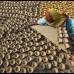 Reuters - Una mujer saca lámparas de barro al sol para que se sequen en su taller antes de la fiesta hindú de Diwali en la norteña ciudad india de Chandigarh.