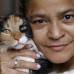 Donaldo Zuluaga - Ella es Lupita, una gata que por su edad y tama&#241;o no aplica para adopci&#243;n. Es la compa&#241;era de Dora.