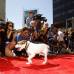 Reuters - Adem&#225;s el pasado mes de febrero fue galardonado con el Collar de Oro de Hollywood.