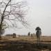 Foto: Luisa Gonz&#225;lez - Colprensa - En algunos sectores los campesinos est&#225;n cambiando la vegetaci&#243;n nativa compuesta por frailejones y musgos, por cultivos de papa y cebolla, en combinaci&#243;n con actividades de pastoreo de ganado.