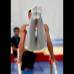 Juan Antonio S&#225;nchez - El gimnasta colombiano Jorge Hugo Giraldo se colg&#243; la medalla de oro en la clasificaci&#243;n general individual de art&#237;stica. Colombia tambi&#233;n alcanz&#243; platas con Didier Lugo y en equipos, en la que gan&#243; Brasil.