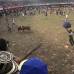 Reuters - La fiesta es amenizada por bandas de trompetas, trombones, clarinetes y redoblantes que tocan porros y fandangos engalanan la fiesta que llega a su cl&#237;max m&#225;ximo cada vez que el toro embiste a uno de los espont&#225;neos que saltan a la arena para dejar en manos del toro y de la suerte sus vidas.