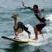 Reuters - Domingo Pianezzi surfea con su alpaca.