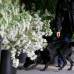Reuters - En la decoraci&#243;n tambi&#233;n se ver&#225;n media docena de arces silvestres ingleses y dos carpes, un g&#233;nero de &#225;rbol emparentado con el avellano-.