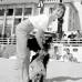 AFP - oto sin fecha de Brigitte Bardot en Cannes, durante el festival de cine.