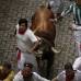 Ap - Las fiestas San Fermín, en las que una multitud corre junto a seis toros bravos por las calles de Pamplona, en España, son uno de los mayores atractivos en esta época del año. Desde 1924, 15 personas han muerto en los encierros que fueron inmortalizados en la novela Fiesta de Hemingway.