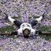REUTERS - La defensiva de los Ravens recuper&#243; su reputaci&#243;n de dura y par&#243; en las cuatro oportunidades de los 49ers para conseguir anotaci&#243;n.