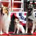 Reuters - El talentoso perro fue acompa&#241;ado por su entrenador, Omar Von Muller, y por algunos de sus fan&#225;ticos.
