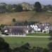 Reuters - Al fundador de MegaUpload, Megavideo y Megalive, filiales de su grupo Megaworld con sede en Hong Kong, le ha gustado rodearse en sus apariciones p&#250;blicas de bellas modelos contratadas y jugar al golf en los verdes campos de Nueva Zelanda, pa&#237;s que para &#233;l es &quot;un raro para&#237;so en la Tierra&quot;.