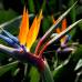 Donaldo Zuluaga - El Museo Vivo de Las Flores tiene como prop&#243;sito impulsar el turismo en el bello corregimiento de San Crist&#243;bal.