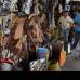 Foto Donaldo Zuluaga - La vida sigue en una Feria de Ganados que parece por momentos una finca enclavada en el norte de Medell&#237;n.