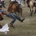 Reuters - En una tarde de corraleja se lidian alrededor de treinta toros, pero a ninguno se le quita la vida, a diferencia de lo que sucede con la tauromaquia profesional, en las que el astado es capoteado, picado por los banderilleros, toreado y muere atravesado por la espada del torero.