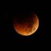 AP - En algunos lugares del planeta se pudo admirar una Luna naranja o rojo intenso.