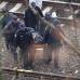 Reuters - Algunos testigos se&#241;alaron que el tren podr&#237;a circular a una velocidad superior a la habitual.