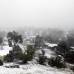 AP - La nieve cae durante una tormenta en Estados Unidos, espec&#237;ficamente en Dakota del Sur.