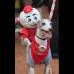 AP - Gino camina por el campo, con una marioneta en su espalda, antes del partido de b&#233;isbol de los Cincinnati Reds contra los Diamondbacks de Arizona.