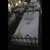 Mario Franco-Colprensa - El Cementerio Municipal de Mompox, Bol&#237;var, es un lugar fascinante que a lo largo de los a&#241;os ha tenido un apacible deterioro, en sus tumbas se pueden encontrar l&#225;pidas que datan del a&#241;o 1831. El descanso eterno de sus hu&#233;spedes es singularmente cuidado por gatos, felinos que se pasean por las tumbas en lo que parecieran rondas de estricta vigilancia.