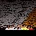 Reuters - Momentos previos al comienzo del partido, en el fondo los simpatizantes del Shakhtar Donetsk.