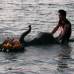 Reuters - Este a&#241;o, el cuantioso volumen de agua de las copiosas lluvias del monz&#243;n y de tres tormentas tropicales seguidas desbordaron el pasado julio los pantanos del norte y de la meseta central.