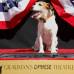 AP - Uggie, el perro de la famosa pel&#237;cula El artista, dej&#243; plasmadas las huellas de sus patas en el Teatro Chino de Hollywood.