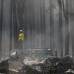 AP - As&#237; qued&#243; el Parque Nacional de Yosemite, California despu&#233;s del incendio forestal que lo azot&#243;. AP