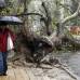 Reuters - La Direcci&#243;n Nacional de Meteorolog&#237;a de Uruguay emiti&#243; este mi&#233;rcoles una alerta roja de &quot;riesgo extremo&quot; y las autoridades del Gobierno recomendaron a la poblaci&#243;n no salir de sus casas en medio de un temporal de lluvia y fuertes vientos que pueden llegar a los 150 kil&#243;metros por hora.