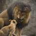 Reuters - Un le&#243;n juega con su cachorro en el zool&#243;gico de Oregon, Estados Unidos.