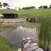 Reuters - Ese entusiasmo por las villas suntuosas impuls&#243; al emprendedor Dotcom a intentar adquirir sin &#233;xito y por 25 millones de d&#243;lares, la vivienda de Coatesville que al final alquil&#243; para resarcirse de la desilusi&#243;n que sufri&#243; al no poder comprarla a causa de las trabas que le puso la Administraci&#243;n neozelandesa.