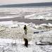 Reuters - El grueso hielo, que ha cerrado cientos de kilómetros del transitado sistema de vías fluviales en la reciente ola de frío en la región, comenzó a moverse el pasado domingo por la tarde por el aumento de la temperatura.