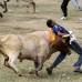 Reuters - Una persona muerta y 44 heridas dej&#243; el tradicional festejo taurino de las corralejas del municipio de Arjona, Bol&#237;var.