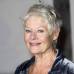 AP - Judi Dench por Philomena. Es su s&#233;ptima nominaci&#243;n. Ya tuvo un Oscar como mejor actriz de reparto en 1998 por Shakespeare in love.