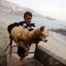 Reuters - Domingo Pianezzi ha convertido a su mascota en c�mplice de sus aventuras en el mar.