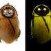 P. Vrsansky-D. Chorvat - Cucaracha luminiscente Lucihormetica luckae hallada en la selva de Ecuador.