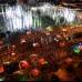 Manuel Saldarriaga - La inauguraci&#243;n de la Feria de las Flores se cumpli&#243; en el Parque de la Luz, en la calle San Juan.