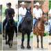 Robinson S&#225;enz - Durante el desfile de caballos de la Feria de las Flores, la mayor&#237;a de los ejemplares participantes hacen parte de la raza caballo criollo colombiano, en modalidades como trote, galope, trocha y paso fino. Tambi&#233;n participar&#225;n otras cuantas razas como Percher&#243;n Franc&#233;s, Appaloosa, Pinto Americano, Ponis, Frisones (negro azabache) y mulares.