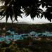 Reuters - Sony escogi&#243; el pueblo de J&#250;zcar, cerca de M&#225;laga, en el sur de Espa&#241;a, para hacer el estreno mundial de la pel&#237;cula Los pitufos en 3D, todas las fachadas de las casas fueron pintadas de azul, color caracter&#237;stico de los pitufos.
