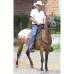 Robinson S&#225;enz - Raza Appaloosa.