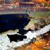 FOTO JUAN ANTONIO S&#193;NCHEZ - El &#193;rea Metropolitana detect&#243; el domingo que el crecimiento del r&#237;o desetabiliz&#243; y socav&#243; el muro, se llev&#243; parte de &#233;l y de la tierra, que en esa parte es muy d&#233;bil.