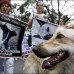 Julio C&#233;sar Herrera - En esta ocasi&#243;n los manifestantes asistieron con sus perros y llevaron mensajes con los que rechazaron la crueldad contra los animales.