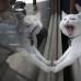 Reuters - El caf&#233; del gato en Nueva York llama la atenci&#243;n en pleno Manhattan.