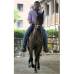 Robinson S&#225;enz - Caballo criollo colombiano, trot&#243;n.