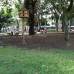 - El Parque de Bel&#233;n perdi&#243; su jard&#237;n porque fue comido por las palomas que habitan en el sector.