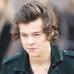 Reuters - El desfile de la firma brit&#225;nica, celebrado en los jardines de Kensington en ese lujoso barrio del centro de Londres, atrajo tambi&#233;n a Harry Styles, cantante del grupo que arrasa entre las m&#225;s j&#243;venes One Direction.