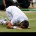 AP - El serbio había llegado a Wimbledon tras vivir la mejor racha de su carrera -hasta su derrota en Roland Garros ante Federer acumuló 43 victorias seguidas- y su deber era cumplir este año las expectativas y, al menos, medirse a Nadal en la final o, incluso, levantar su primer trofeo del All England Club.