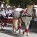 Esteban Vanegas - Las carretas tiradas por caballos se robaron las miradas de los espectadores y le pusieron color al desfile.