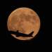 AP - La luna de sangre se vio as&#237; en Pakistan.