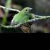 Foto Julio C&#233;sar Herrera - Agua, selva, vegetaci&#243;n y aves, todo en un espacio natural.