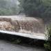 Reuters - Una tormenta se convierte en huracán cuando sus vientos máximos sostenidos superan los 117 kph.